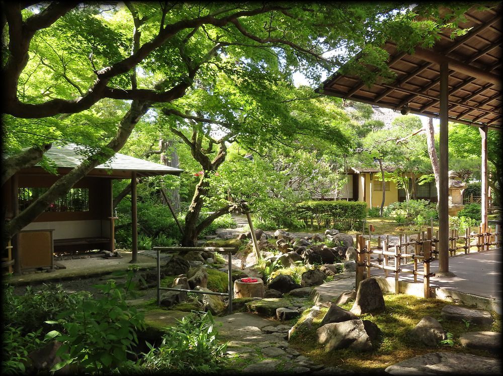 美しさと品格の庭園十撰 東京 関東 金沢 北陸の名園 造形礼賛