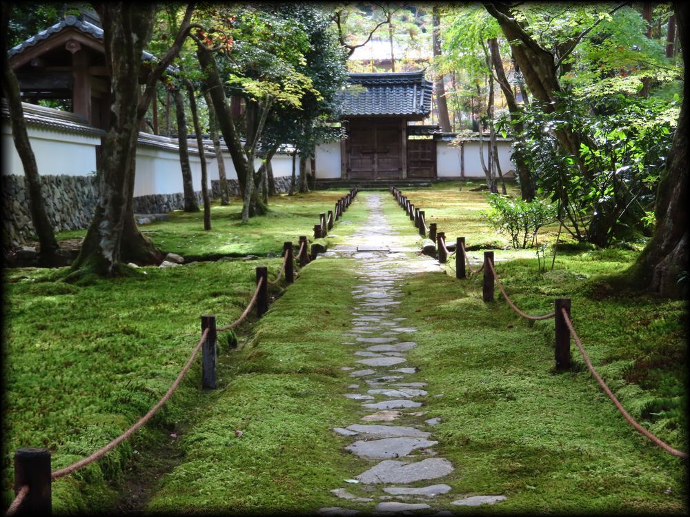 京都の苔庭 京都の庭園 造形礼賛