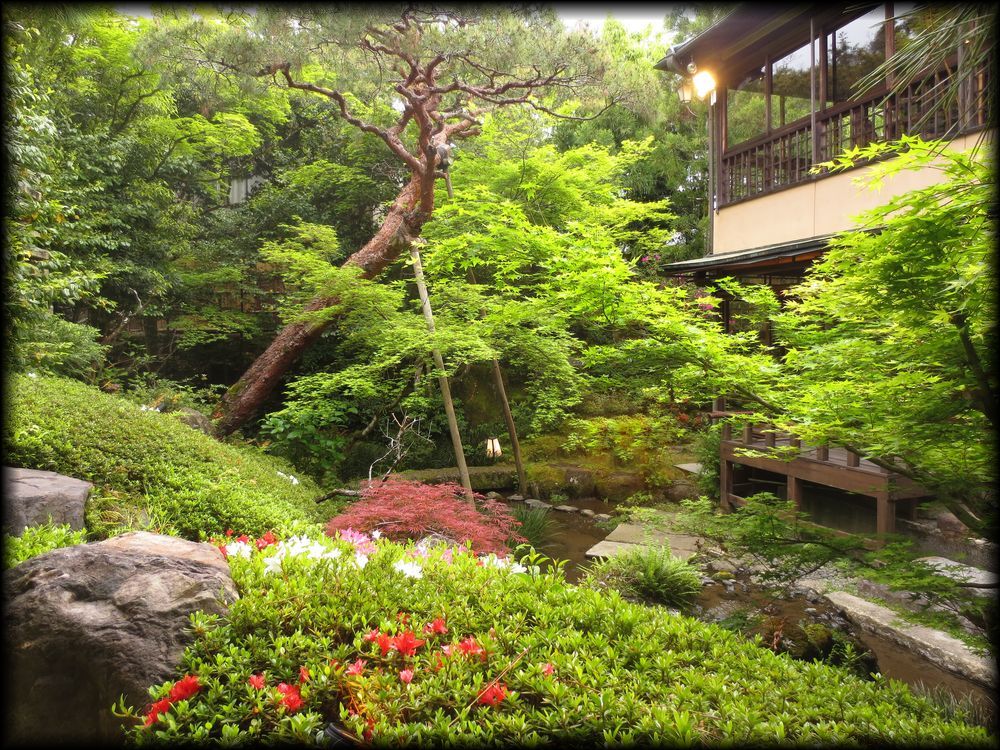 南国大樹桃色邸庭図 南国大樹桃色邸庭図